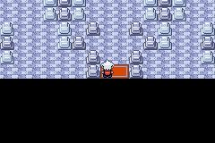 SnakewoodLP11.png