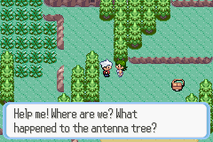SnakewoodLP118.png