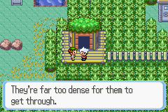 SnakewoodLP173.png