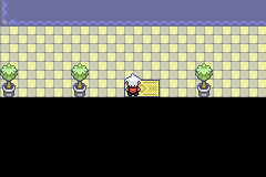 SnakewoodLP207.png