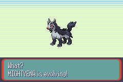 SnakewoodLP219.png