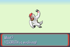 SnakewoodLP219.png