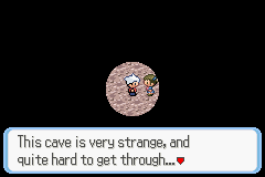 SnakewoodLP220.png