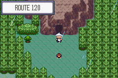 SnakewoodLP252.png