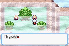 SnakewoodLP284.png