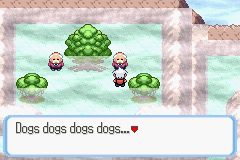 SnakewoodLP285.png