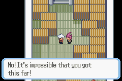 SnakewoodLP33.png