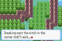 SnakewoodLP330.png
