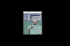 SnakewoodLP35.png