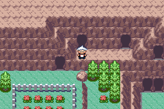 SnakewoodLP36.png