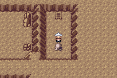 SnakewoodLP518.png
