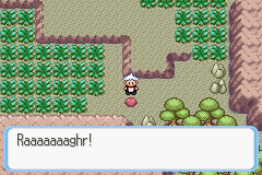 SnakewoodLP563.png