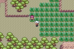 SnakewoodLP564.png