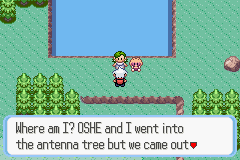 SnakewoodLP91.png