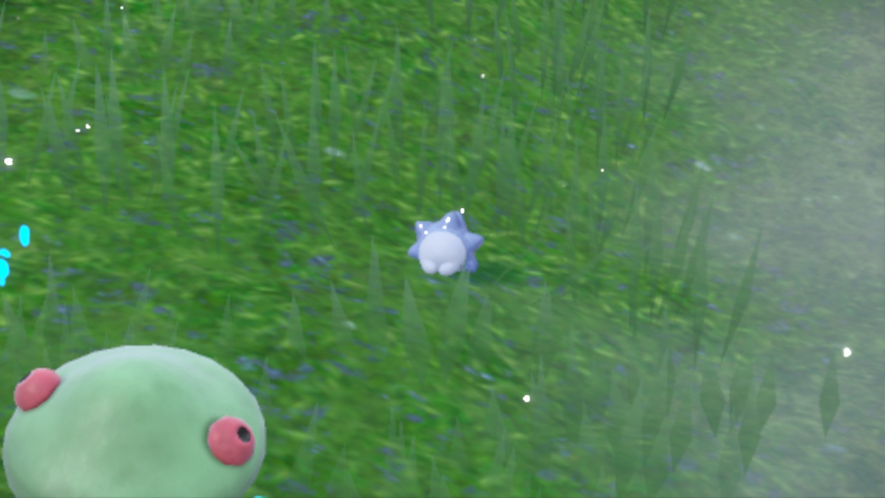 Snom.jpg