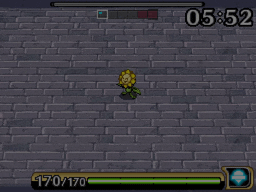 snover2.gif