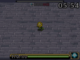 snover3.gif