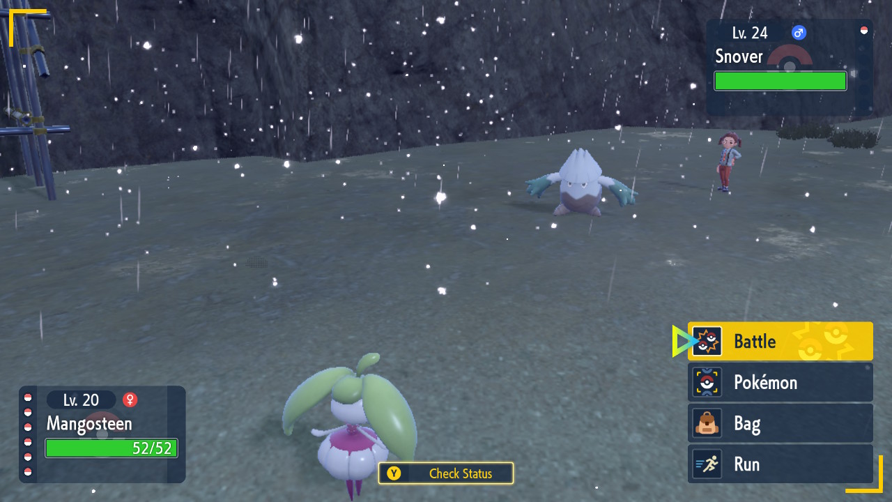 Snow Rain.jpg