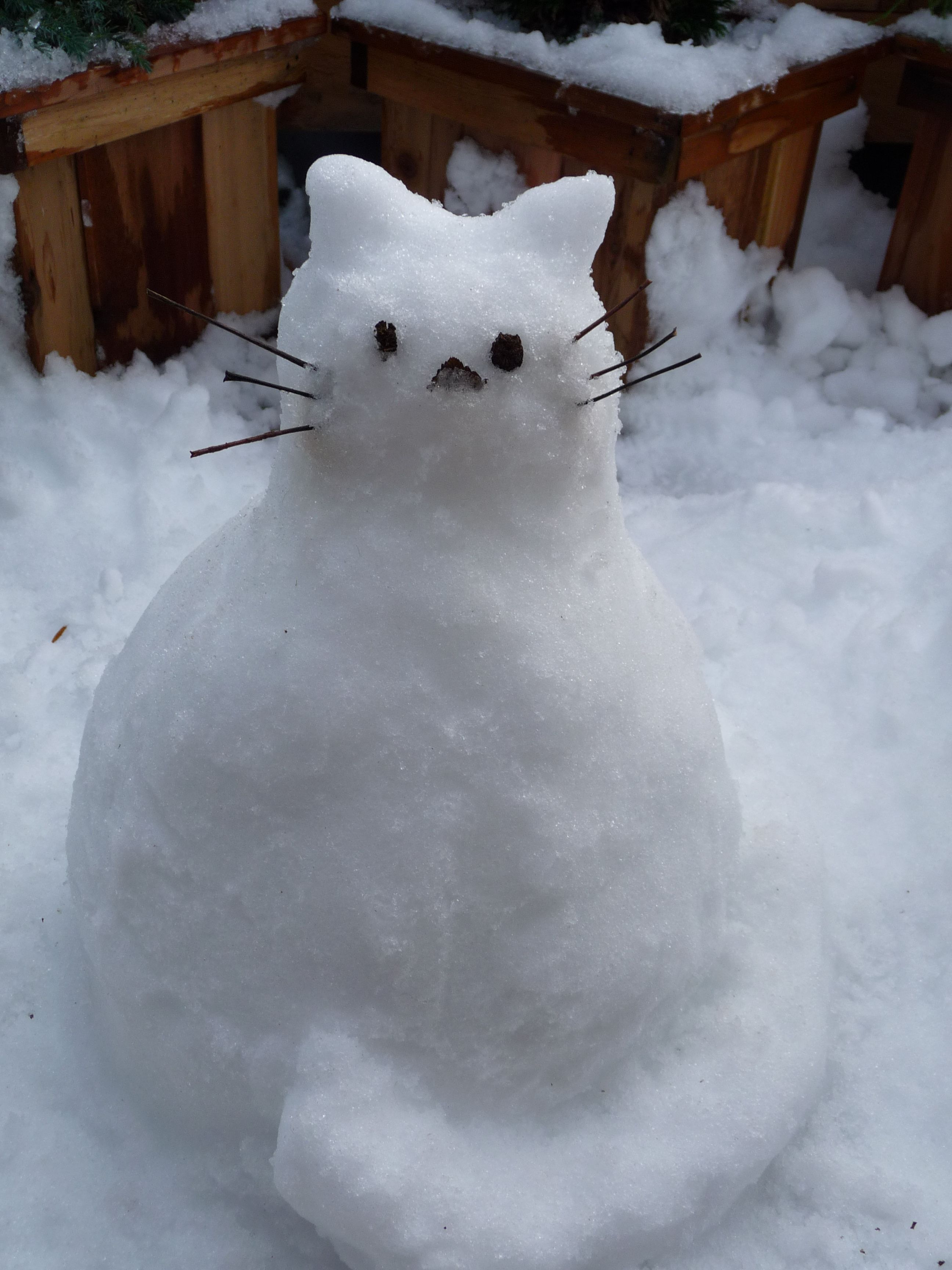 snowgusic.jpg