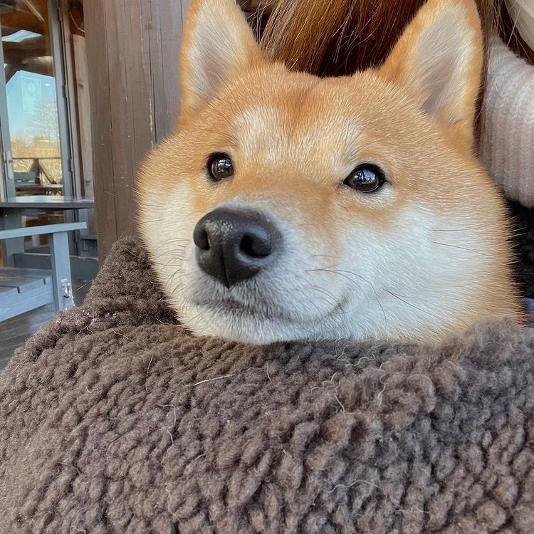 snug.jpg