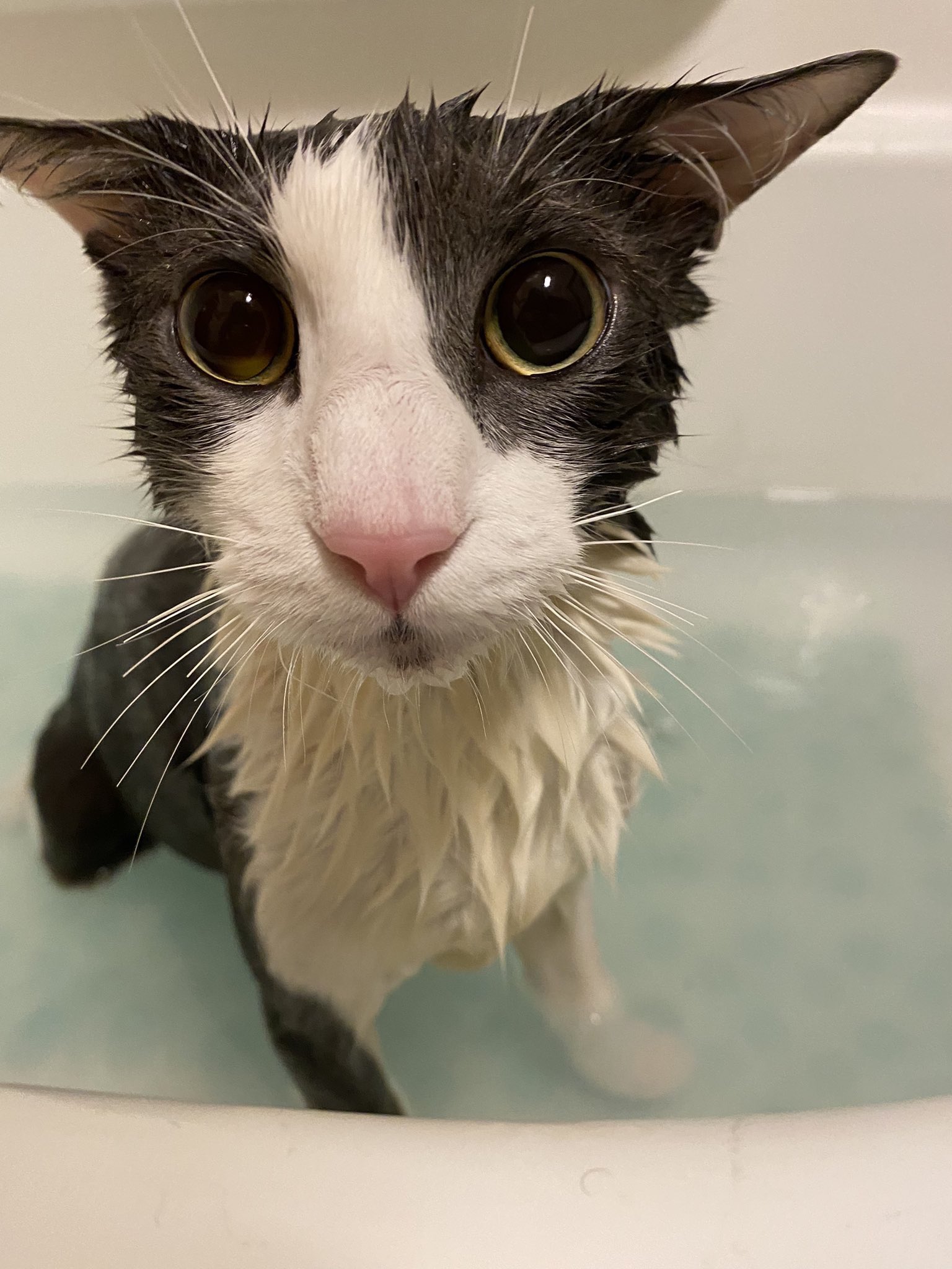 soggy.jpg