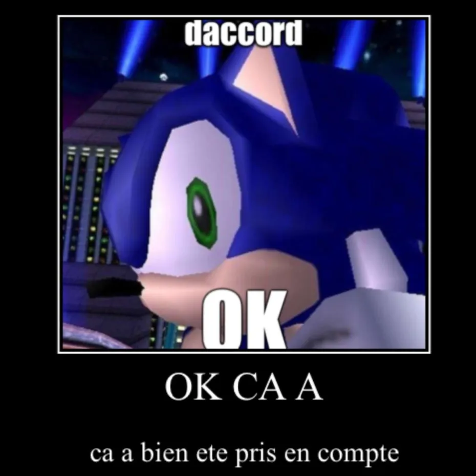 sonic ok d'accord.webp