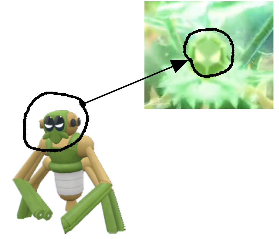 Spidops.jpg