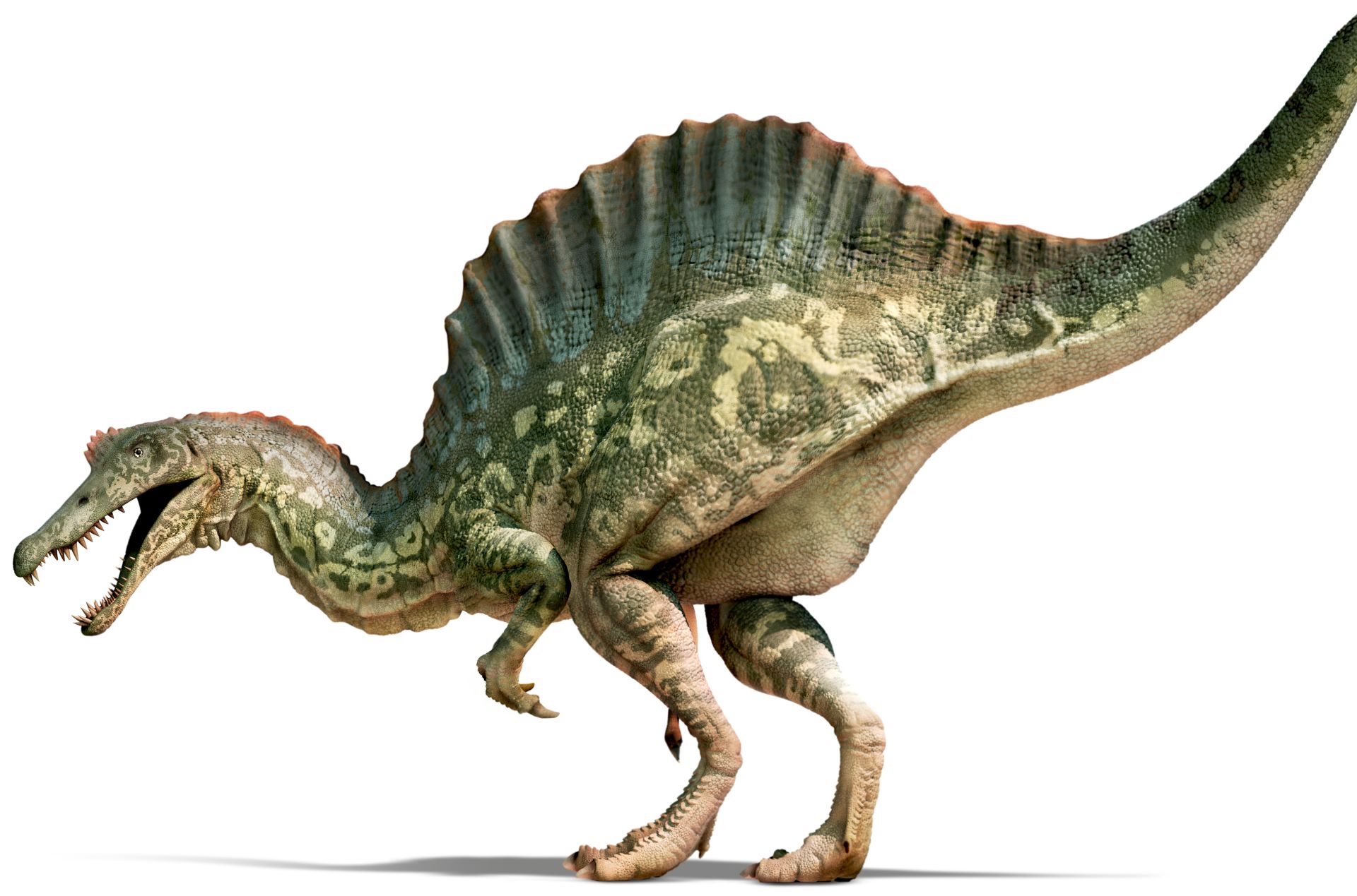 Spinosaurus_HiRes_xfswcz.jpg