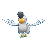 squawkabilly-white.gif