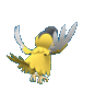 squawkabilly-yellow.gif
