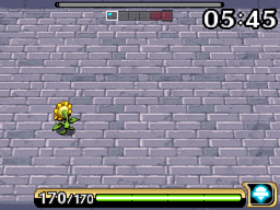 staravia4.gif