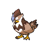 starp.png