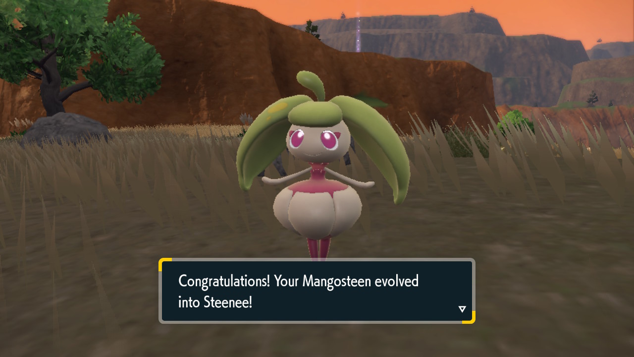 Steenee_1.jpg