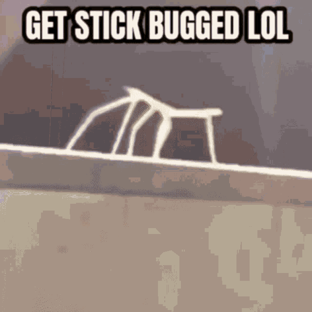 stick-bug.gif