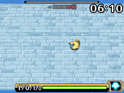 stunky4.gif