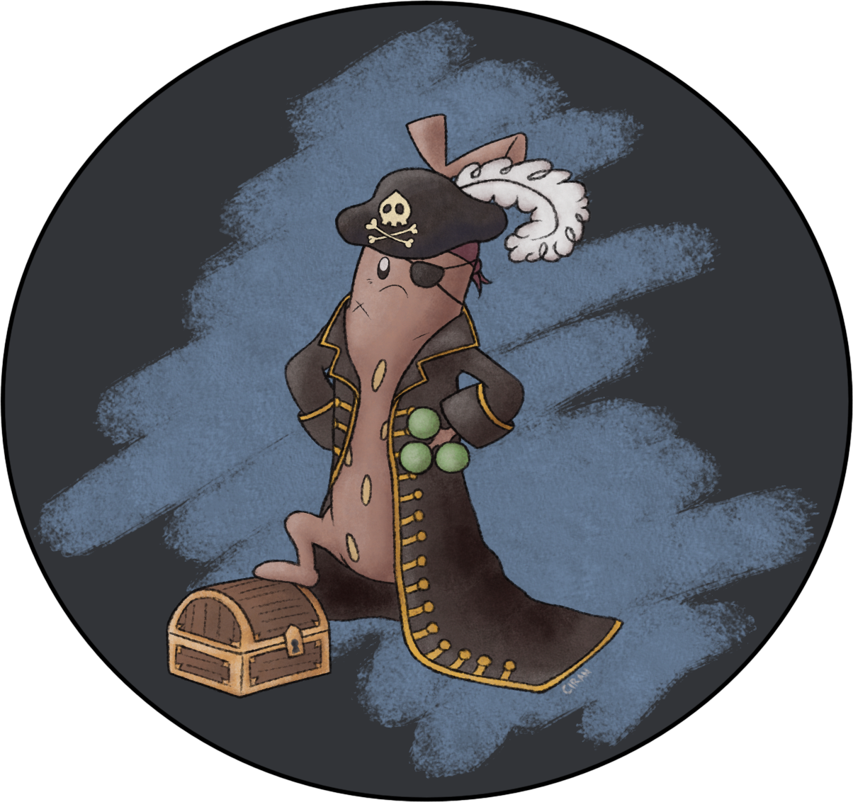 sudowoodo-pirate_blkhat.png