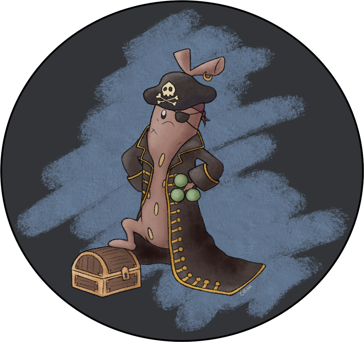 sudowoodo-pirate_blkhatearring.png