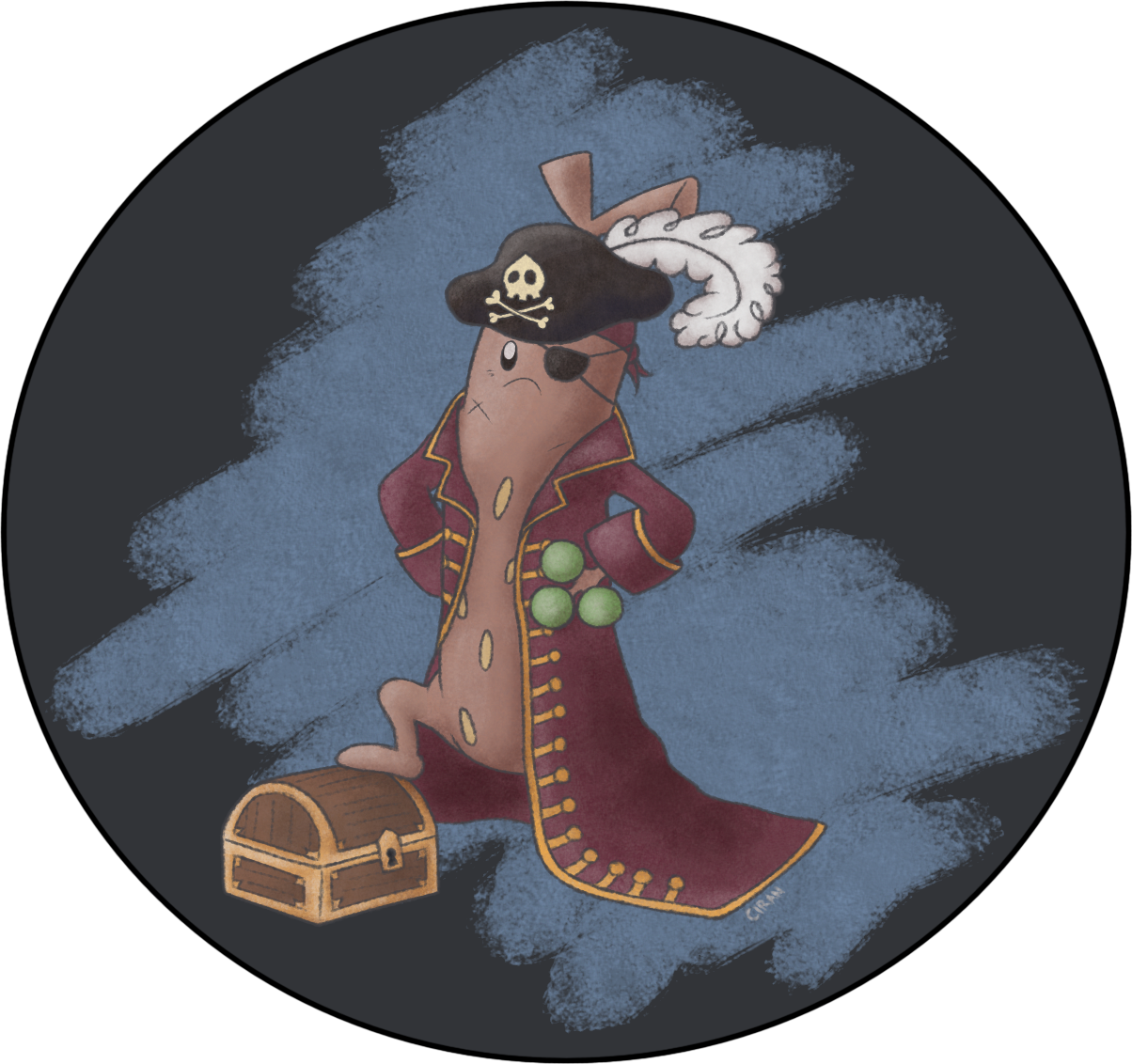 sudowoodo-pirate_redhat.png