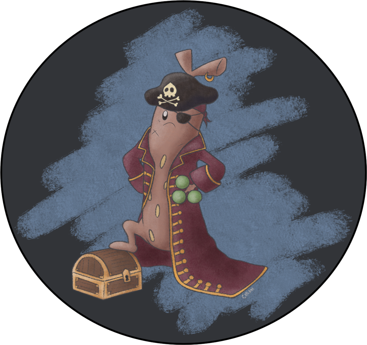 sudowoodo-pirate_redhatearring.png