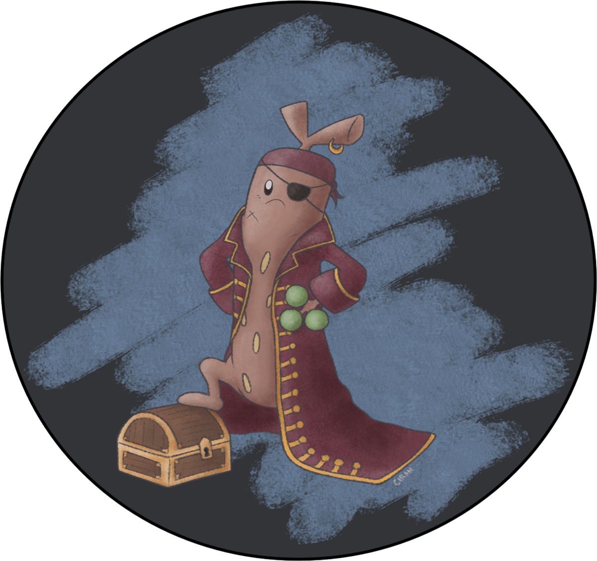 sudowoodo-pirate_redNOhat.png