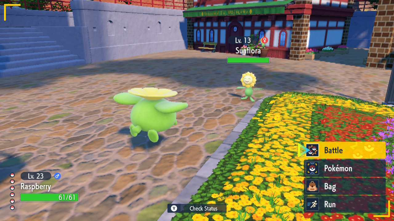 Sunflora Seek_3.jpg