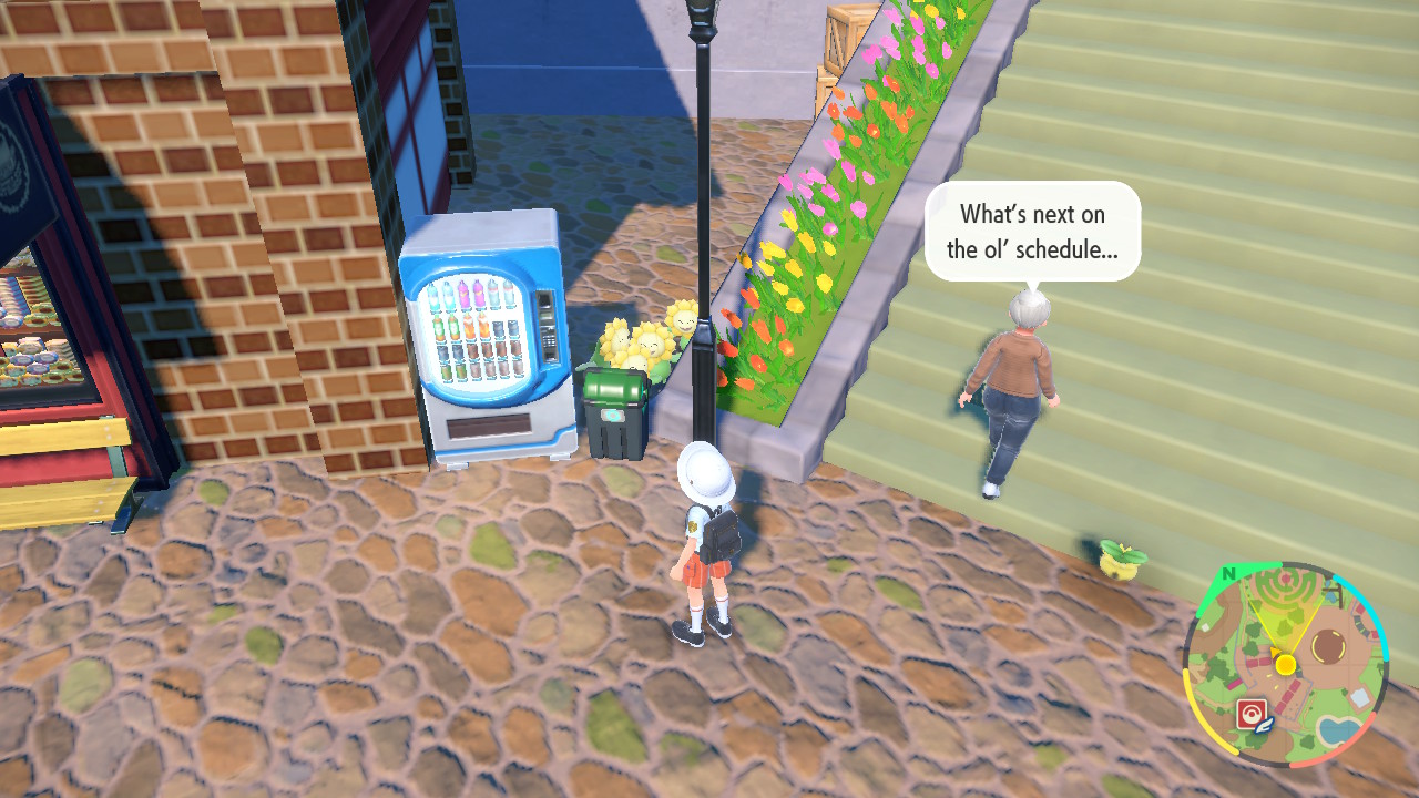 Sunflora Seeking_4.jpg