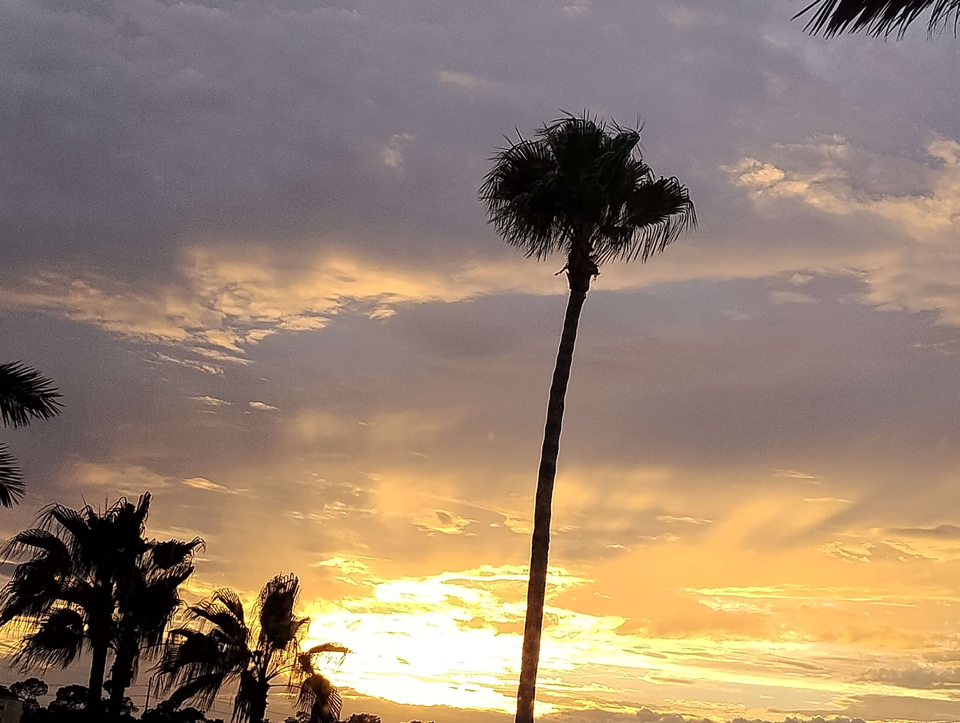 sunset.jpg