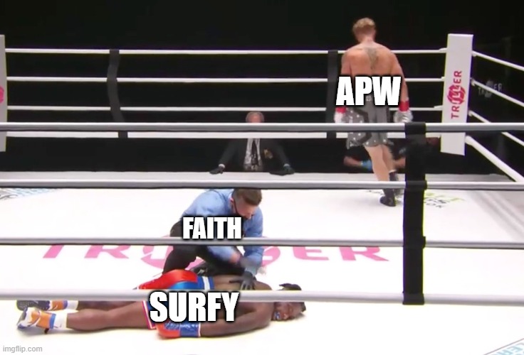 surfy.jpg