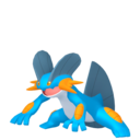 swampert.png