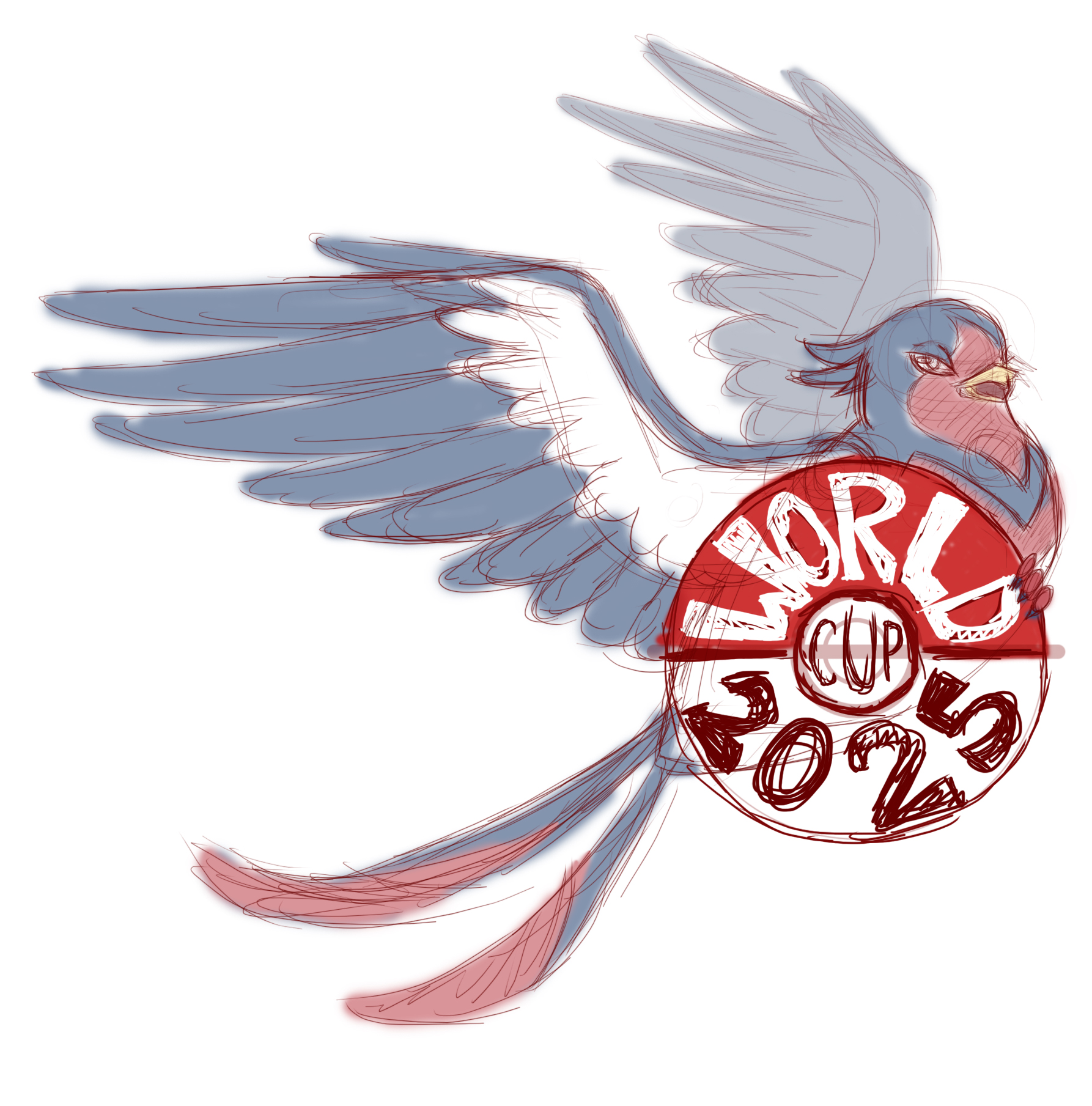 swellow2.jpg