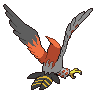 talonflame back.png