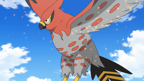talonflame gif.gif