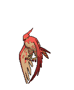 Talonflame.gif
