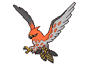 talonflame.gif